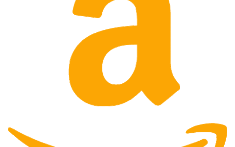 亚马逊公司（Amazon）业绩超出预期，股价大涨